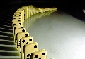 Hiệu ứng domino độc đáo