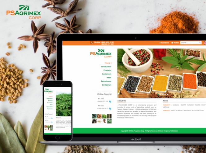 Thiết kế website - Psagrimex Corp