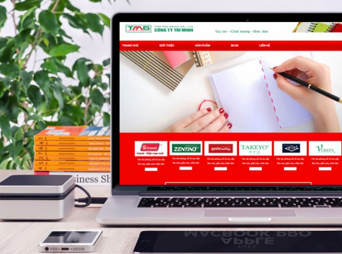 Thiết kế website - Thiết kế web Trí Minh