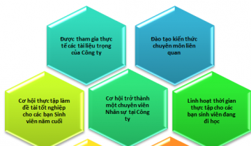 Tuyển dụng thực tập viên nhân sự và văn thư hành chính 2016