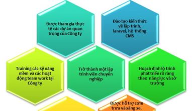 Viet Solution tuyển dụng thực tập Lập trình viên tiềm năng 2015