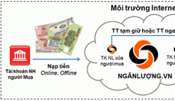 Công ty Viet Solution cùng Ngân Lương hợp tác về thanh toán điện tử
