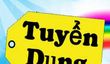 Tuyển dụng tháng 11/2013 : Quản Trị Web (Webmaster)