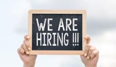 Tuyển dụng 08/2013: lập trình web, thiết kế web, kinh doanh web & SEO, quản trị web