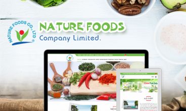 Thiết kế website - Công ty NFC