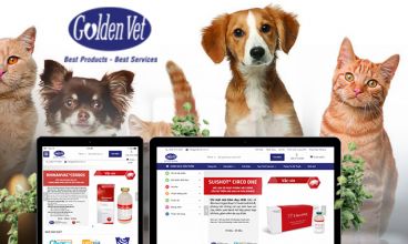Thiết kế website - Thú y Hoàng Kim